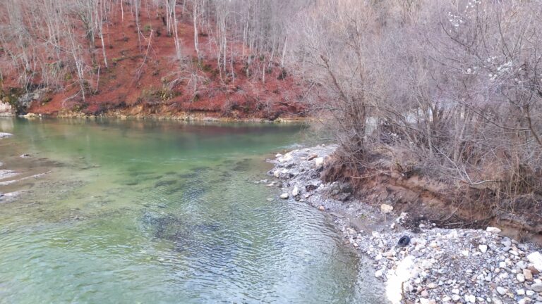 Възражение на сдружение Балканка срещу намерение за поредното „чистене“ на река Арда