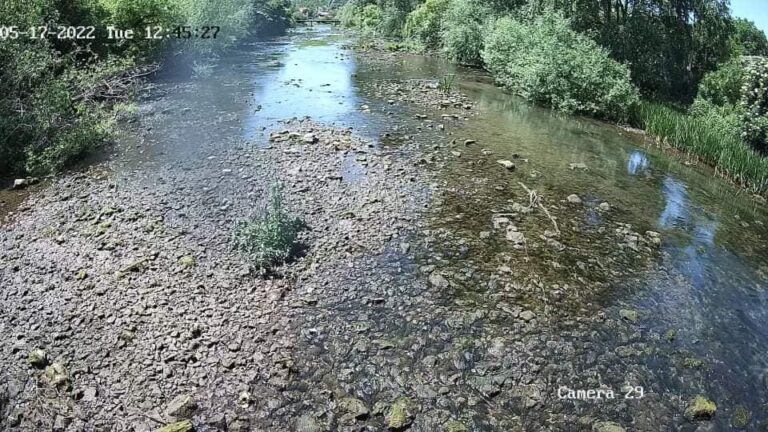 Отговор на БДДР по сигнал за неосигуряване на минимални водни количества в коритото на река Златна Панега след стената на яз. Луковит