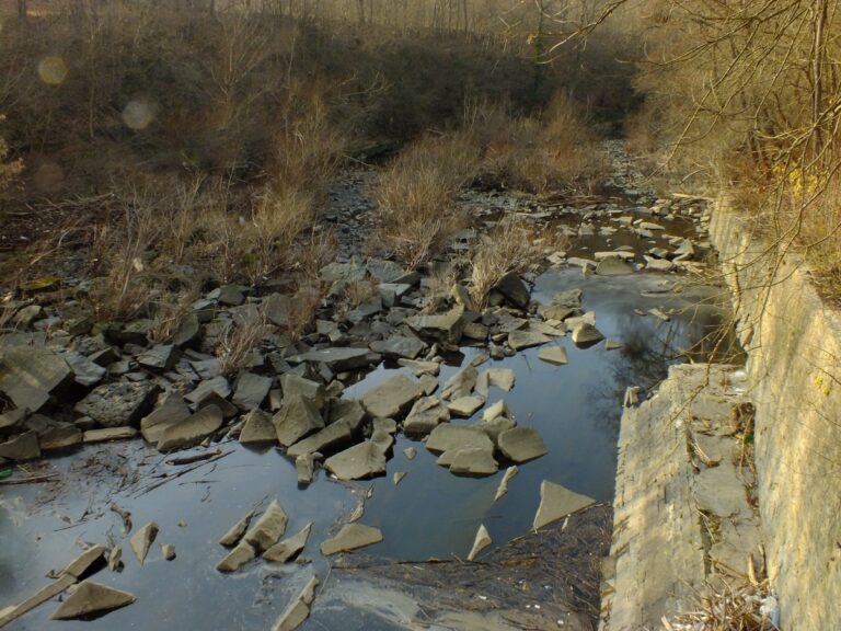 Възражение срещу опит за възобновяване работата на ВЕЦ Каломен на река Янтра