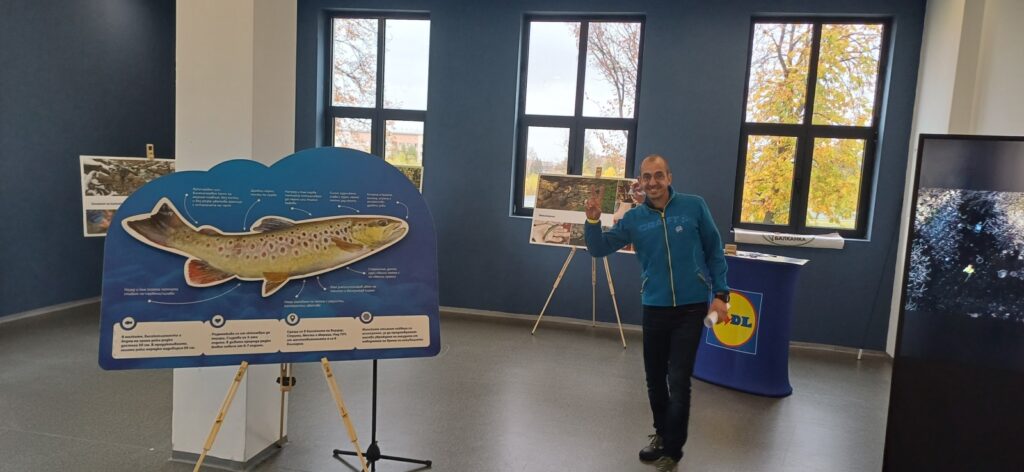 Македонската пъстърва – истинската балканка, която се завръща у дома 15 11