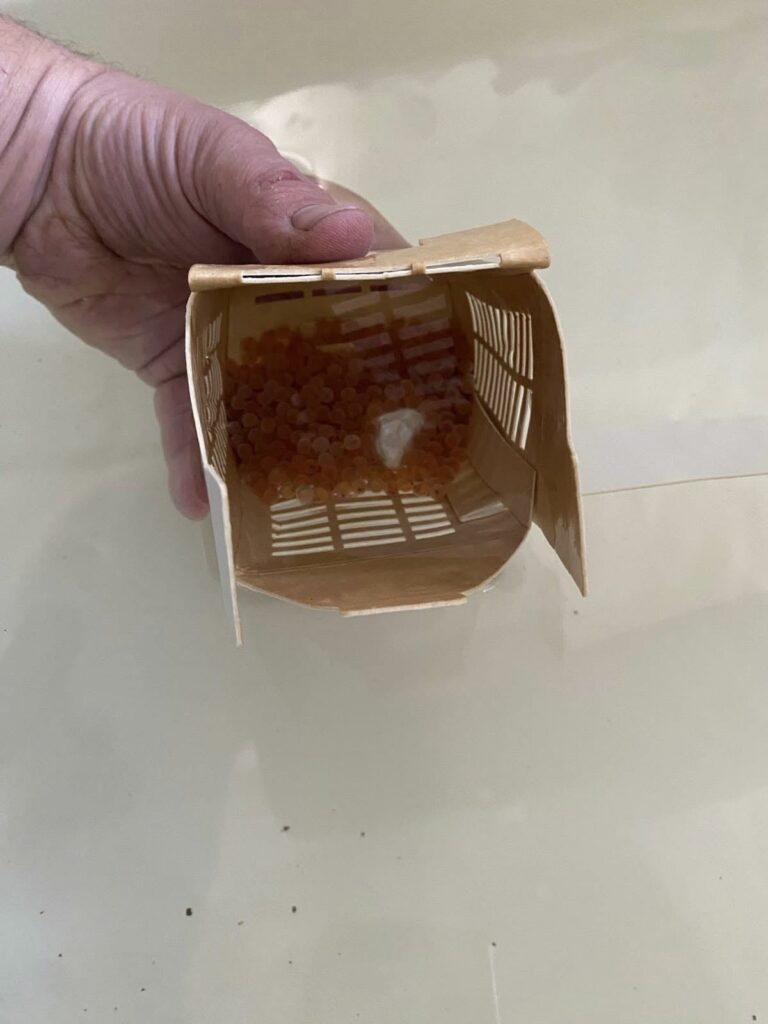 Тестове с кутийките за хайвер 3 1