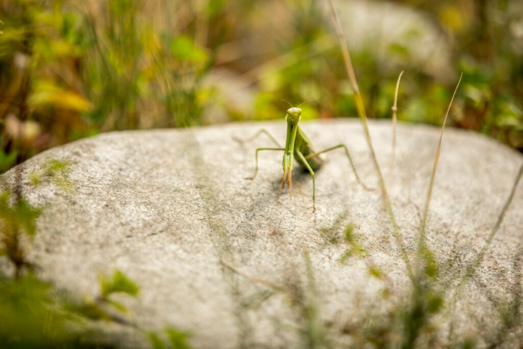 BRT4:Bulgaria, 24-29.09.2019 12 10 1