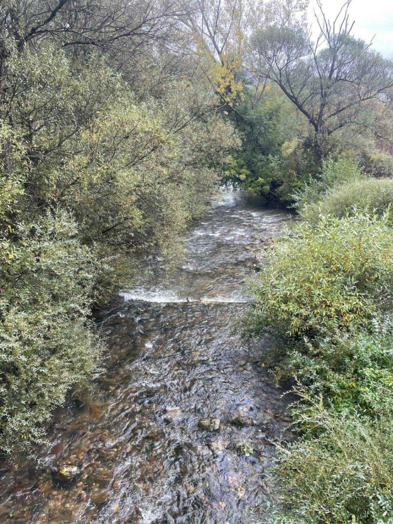 Почистване на река Искрецка, 18.10.2025 11 10 3