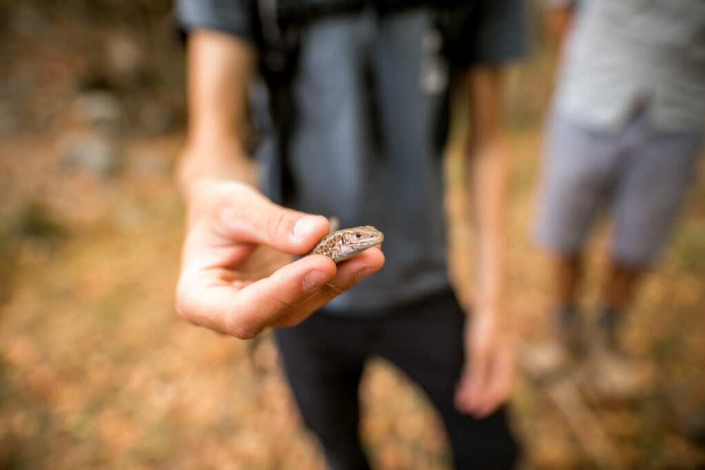 BRT4:Bulgaria, 24-29.09.2019 13 11 1