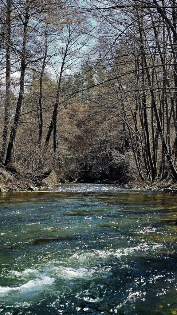 Протест срещу плановете за "почистване" на река Искрецка 15 14 6