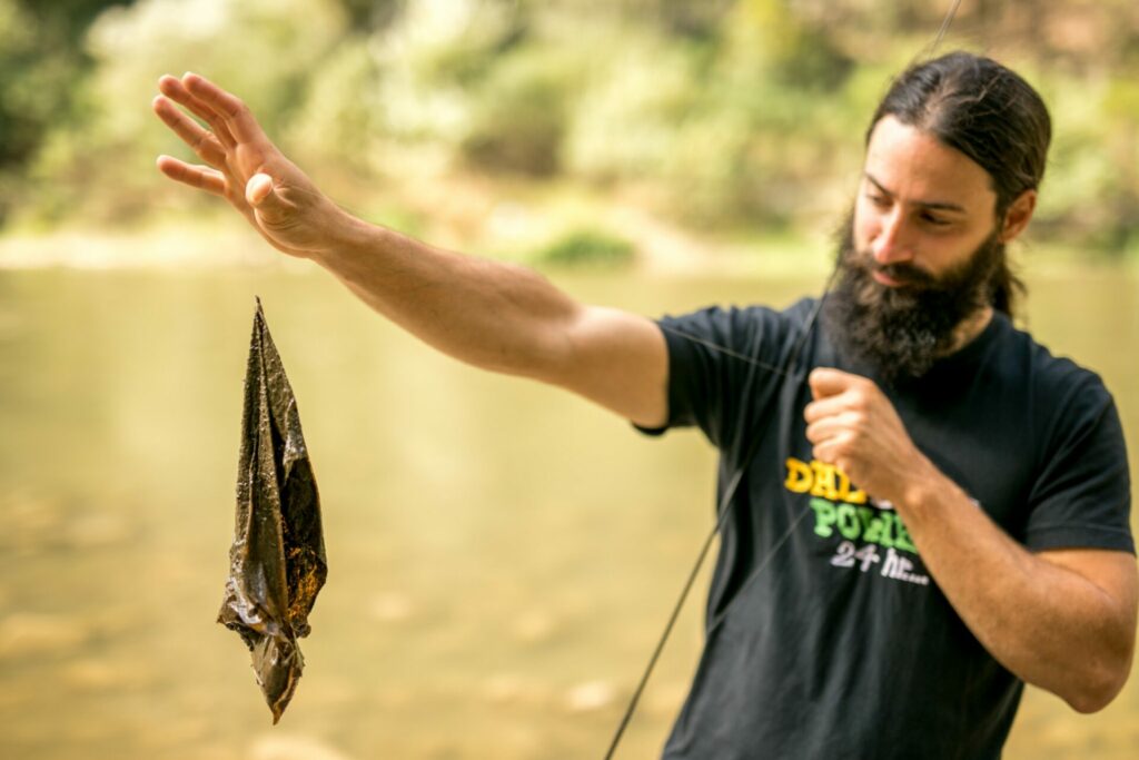 BRT4:Bulgaria, 24-29.09.2019 17 15 1