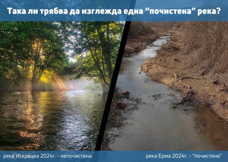 Протест срещу плановете за „почистване“ на река Искрецка