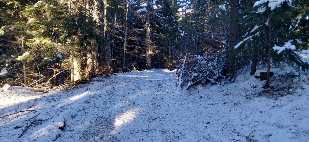 Зарибяване с оплоден хайвер 29.12.2025г. 3 20251229 100224