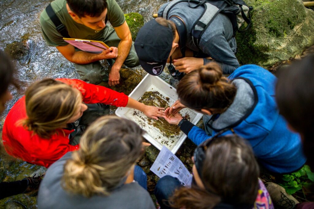 BRT4:Bulgaria, 24-29.09.2019 24 22 1