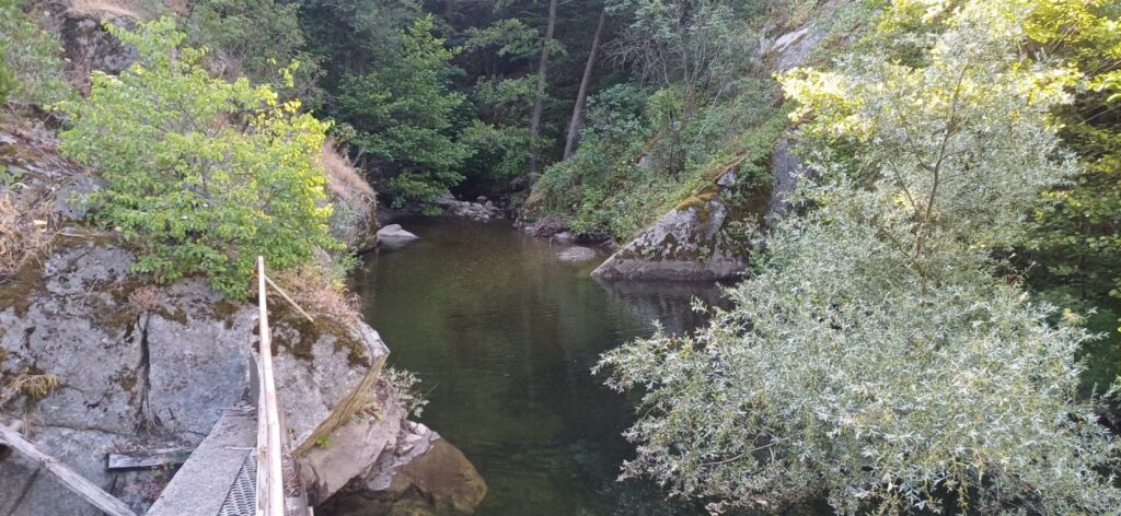 Тийм-билдинг "Балканка" 2025, издание IV 28 27