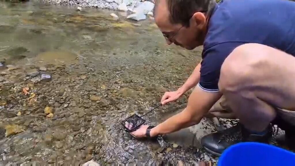 Тийм-билдинг "Балканка" 2025, издание IV 36 35