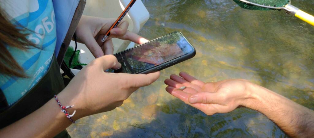 Кратък преглед на извършен мониторинг на река Искър след стената на язовир Панчарево до преди Цариградско шосе 2 440561091 951413636528193 1817143344679597637 n