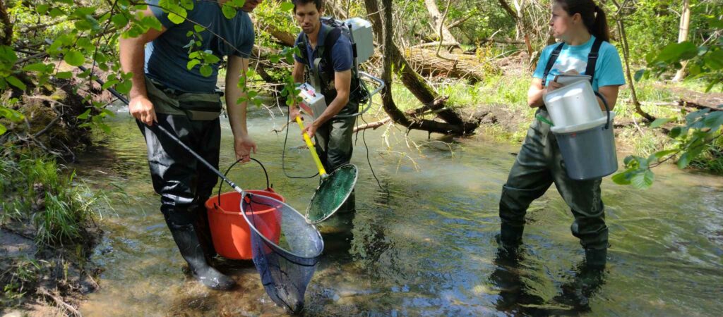 Кратък преглед на извършен мониторинг на река Искър след стената на язовир Панчарево до преди Цариградско шосе 3 441140732 767907061788359 2573982943213544944 n
