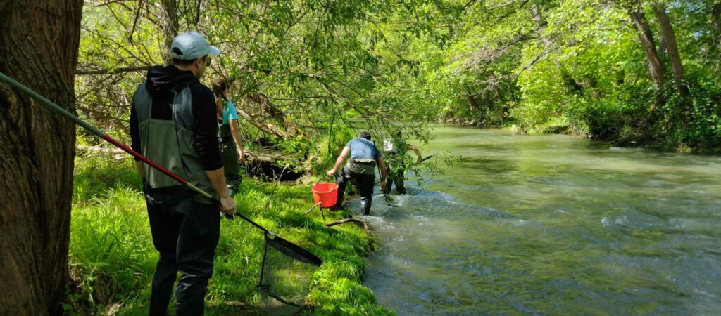 Кратък преглед на извършен мониторинг на река Искър след стената на язовир Панчарево до преди Цариградско шосе 5 441165984 996514672084018 7013760790416250513 n