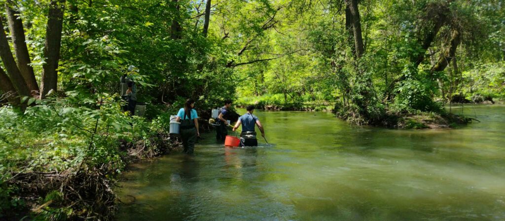 Кратък преглед на извършен мониторинг на река Искър след стената на язовир Панчарево до преди Цариградско шосе 6 441182060 1180998719586741 2232109615131518193 n