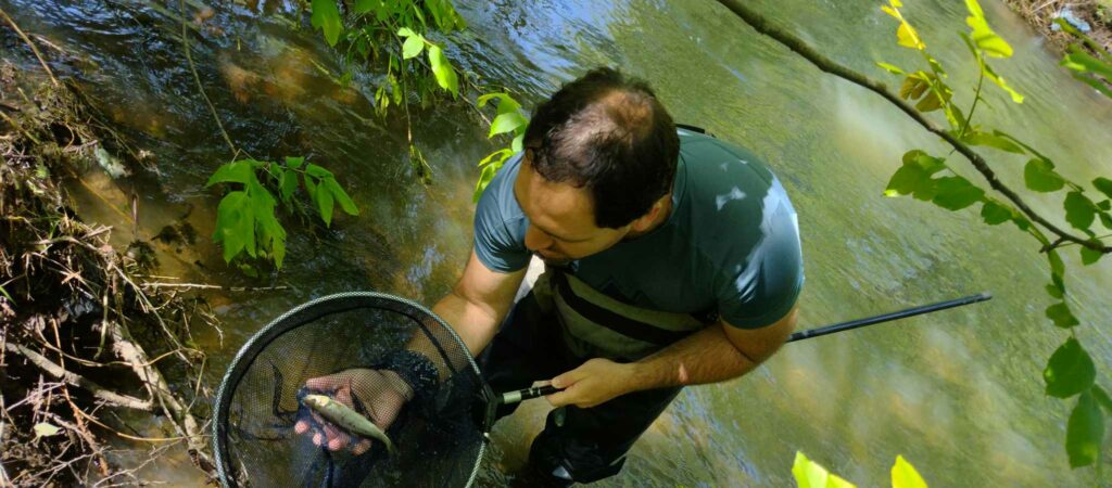 Кратък преглед на извършен мониторинг на река Искър след стената на язовир Панчарево до преди Цариградско шосе 7 441185460 347435907959145 3544825014640631514 n