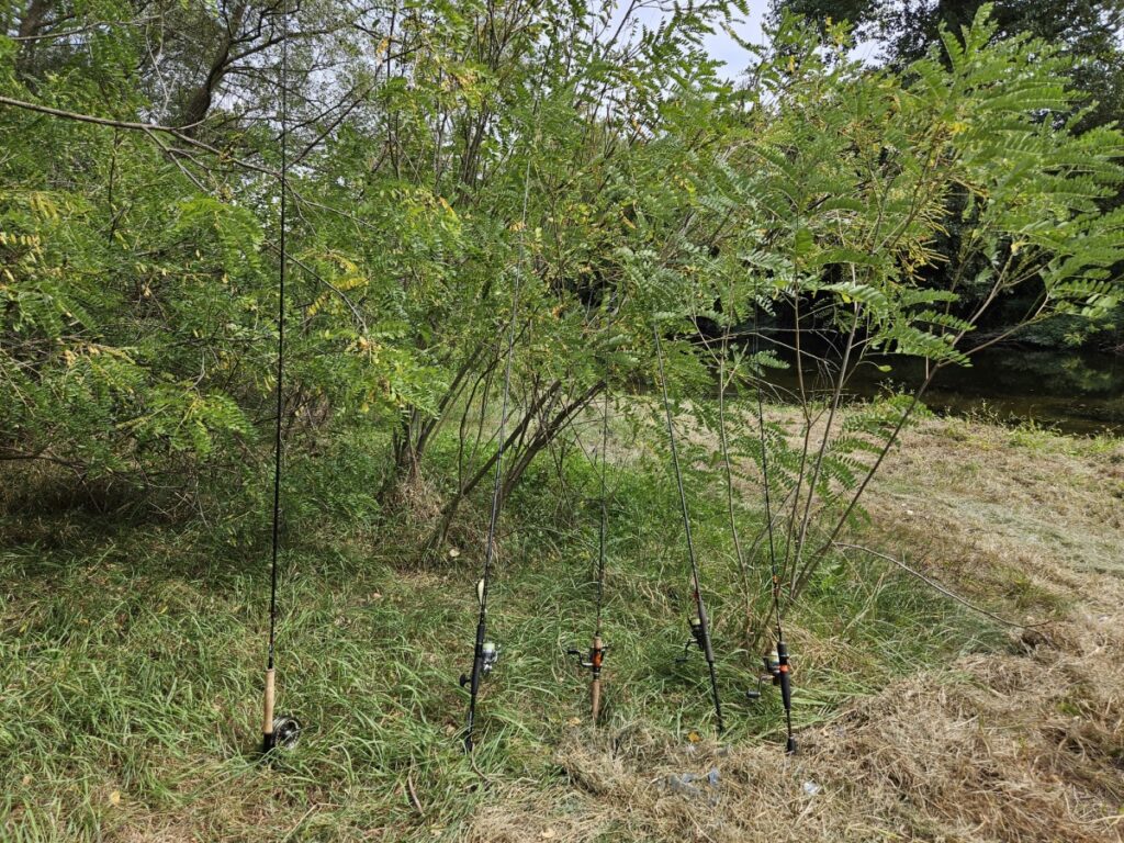 "С река на сърцето" - 05-07.09.2025г., издание V 47 46 2