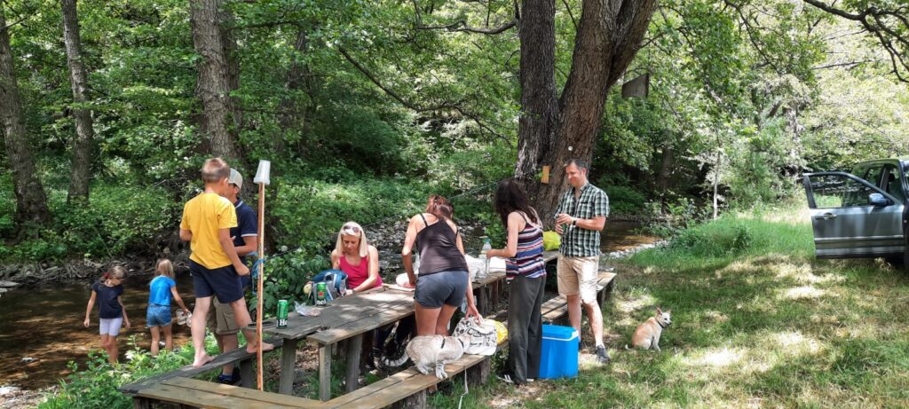 Тийм-билдинг "Балканка" 2025, издание IV 6 5