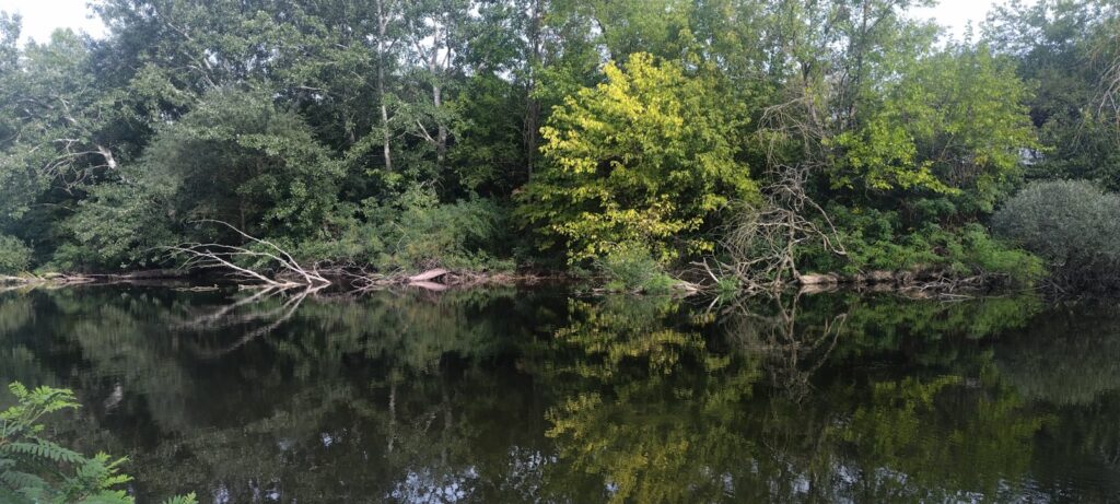 "С река на сърцето" - 05-07.09.2025г., издание V 68 67 1