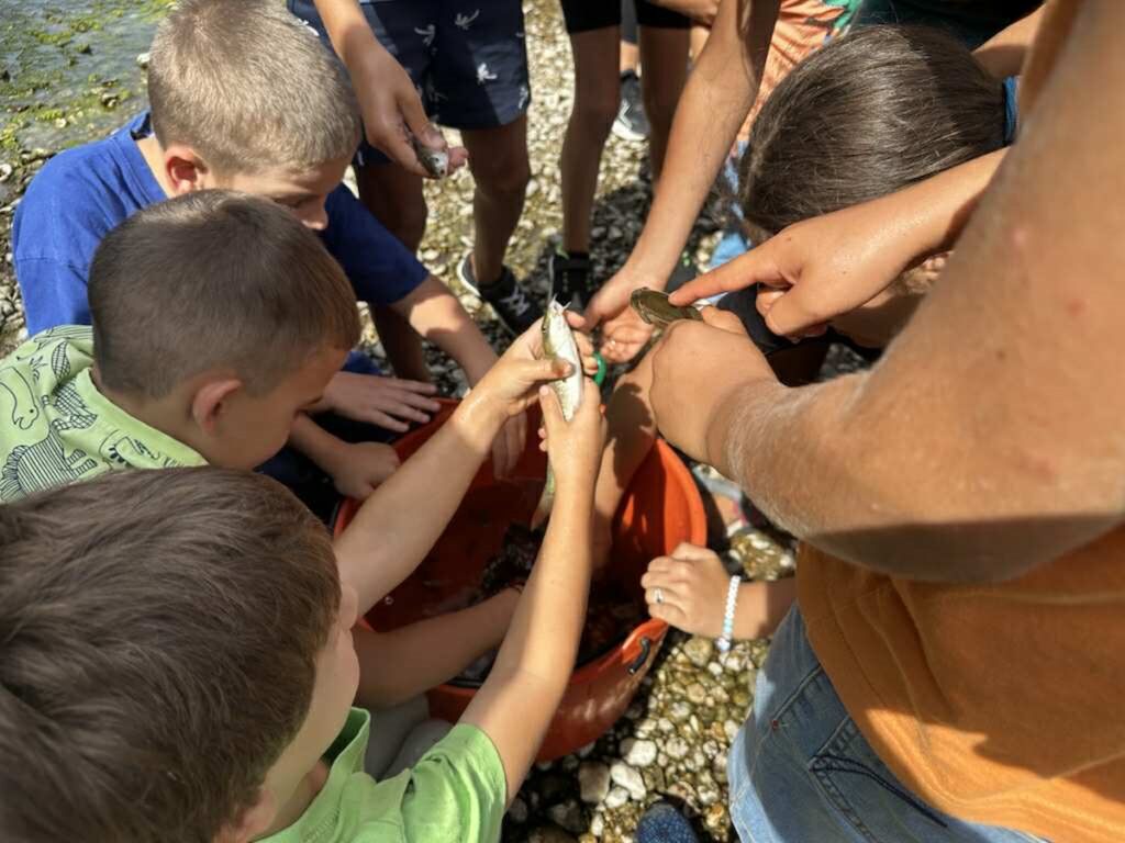 "С река на сърцето" - 05-07.09.2025г., издание V 72 71