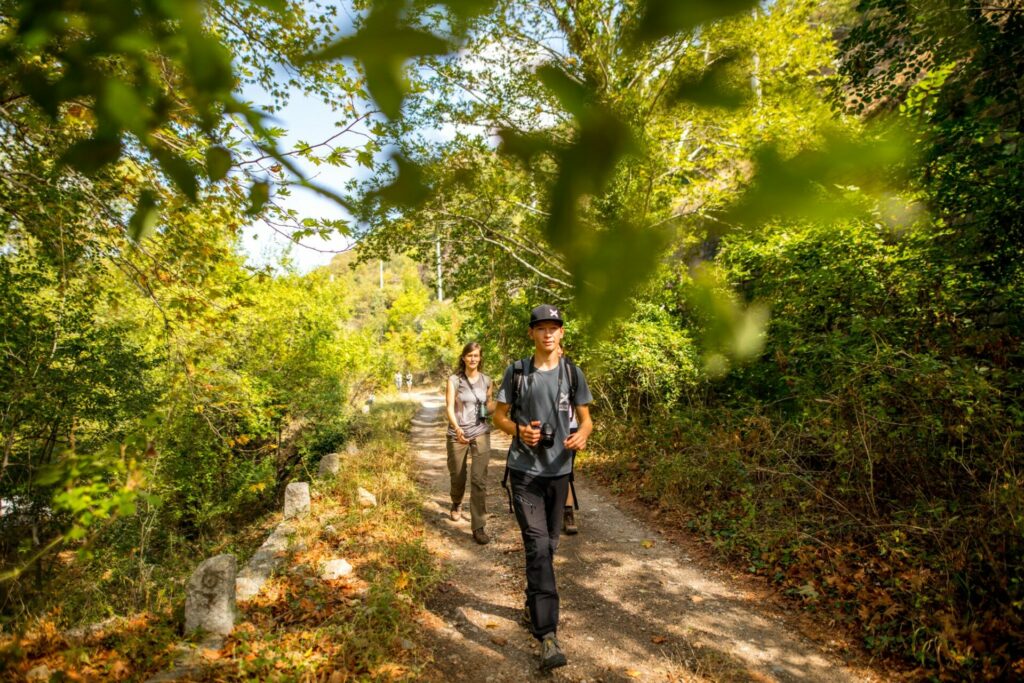 BRT4:Bulgaria, 24-29.09.2019 10 8 1