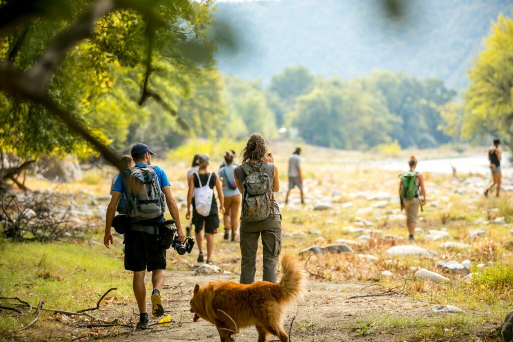 BRT4:Bulgaria, 24-29.09.2019 11 9 1
