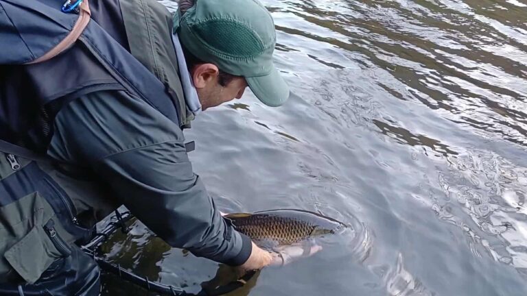 Пролетно-лятна забрана за риболов 2026 в България 1 9 3