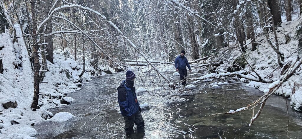 Зарибяване с оплоден хайвер 29.12.2025г. 18 Scanned 20251229 2115 08