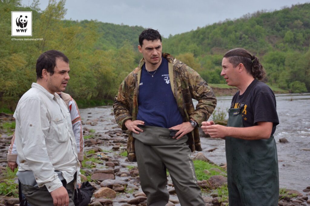 Подпомагане на дейности по проект "Свободни риби" на WWF България 10 output TH4 1386