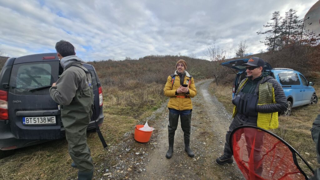 Зарибяване с оплоден хайвер от вида Salmo macedonicus във водосбора на река Струма 12 20260115 140713