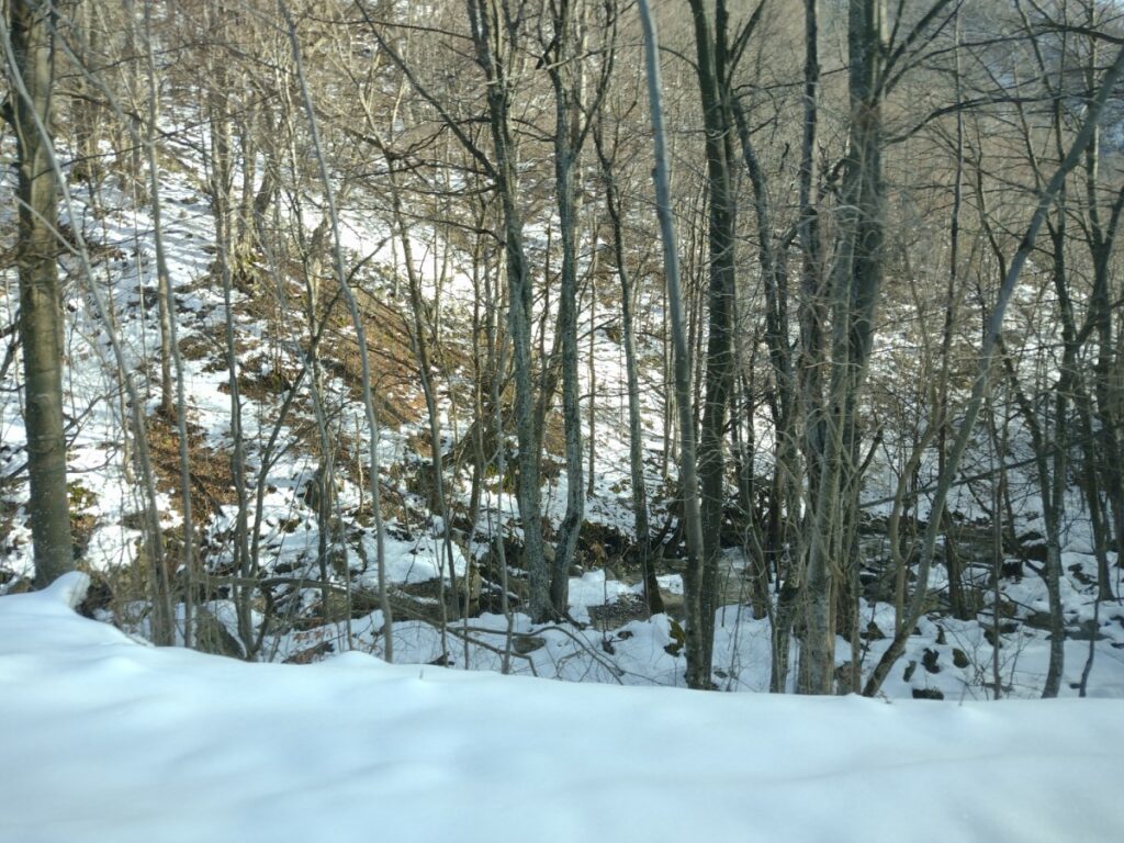 Зарибяване с оплоден хайвер S.macedonicus във водосбора на река Тунджа 03.01.2025 4 IMG 20250103 135817757 HDR