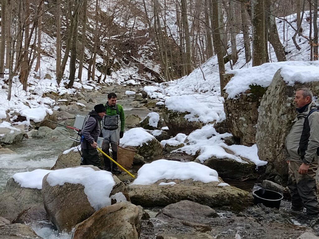 Зарибяване с оплоден хайвер S.macedonicus във водосбора на река Тунджа 03.01.2025 8 IMG 20250103 152023666