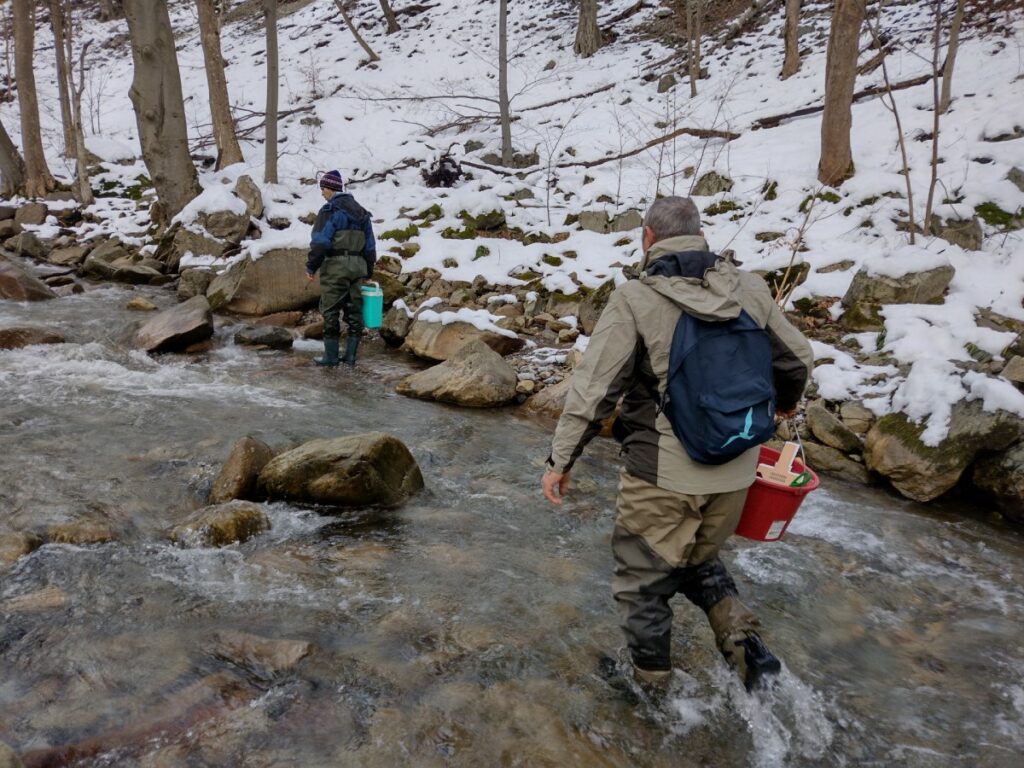 Зарибяване с оплоден хайвер S.macedonicus във водосбора на река Тунджа 03.01.2025 10 IMG 20250103 152828877 HDR