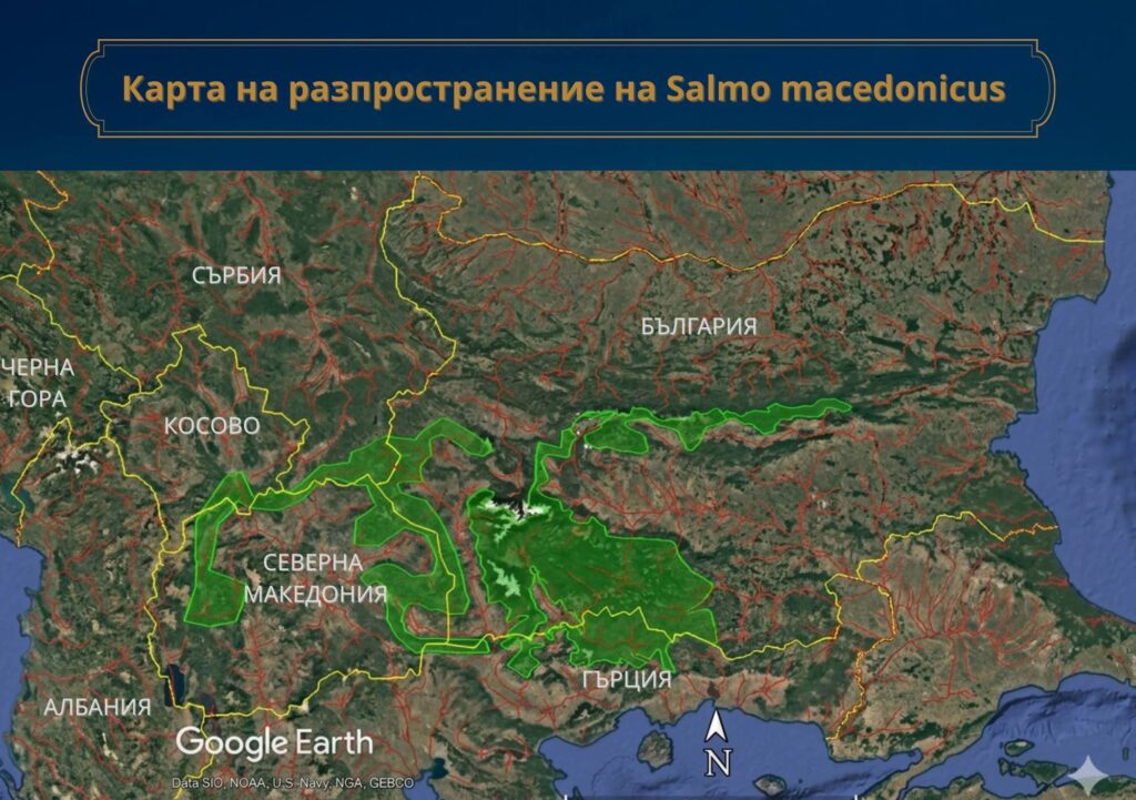 Опазване на пъстървата от Егейски водосбор – семинар Смолян, 18.05.2026г. 8 7