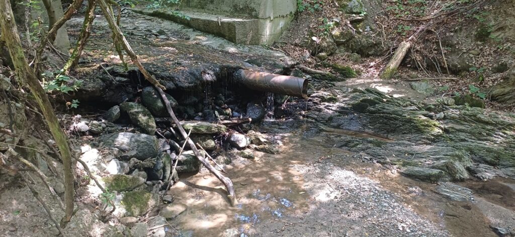 Сдружение Балканка - Нов доклад за посетени бентове и водохващания на територията на БДИБР 2 1000028109