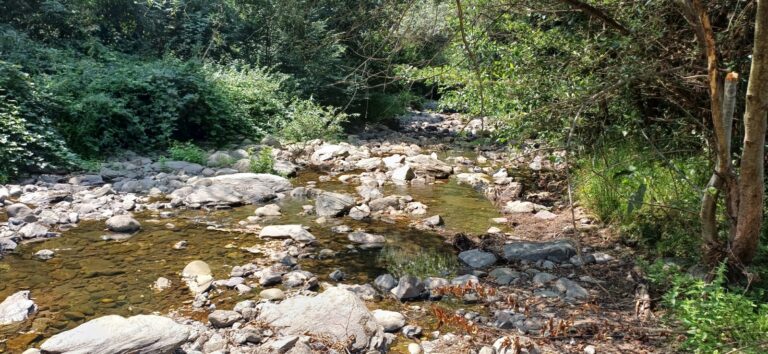 Доклад за посетени бентове и водохващания в горното течение на река Тополница и притоците ѝ 1 20260808 123529