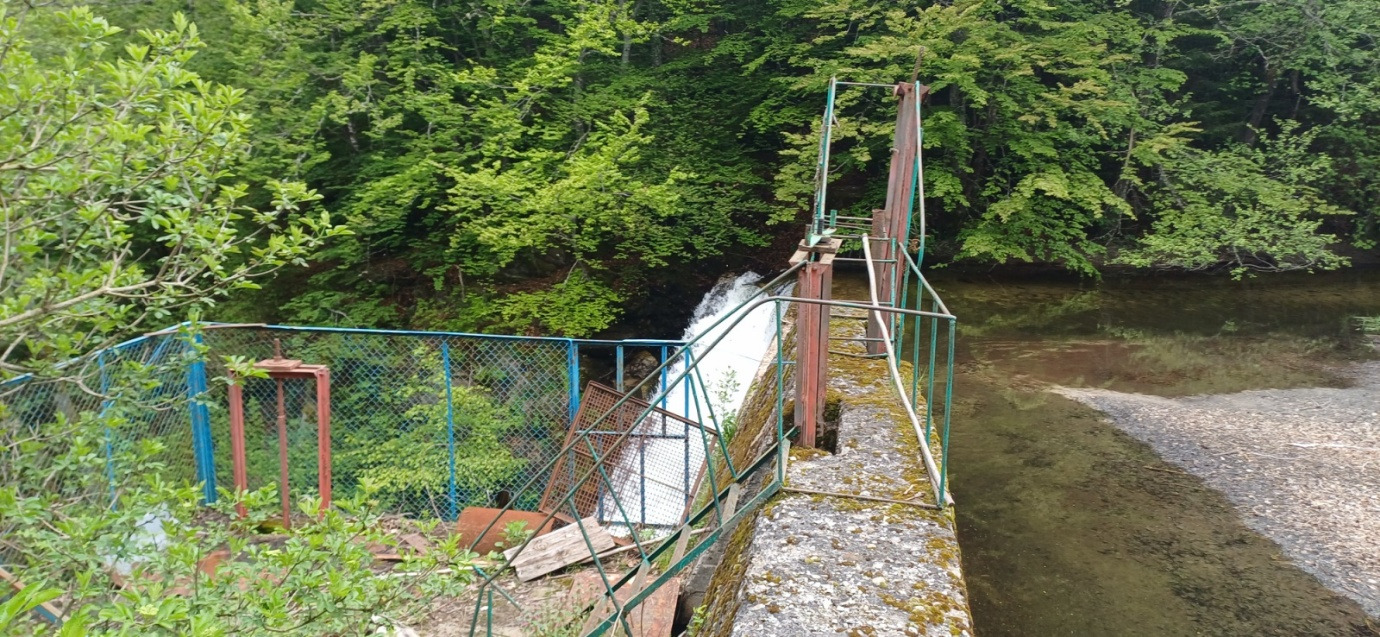 Бентове в река Глогинско дере 4 image 2026 09 02 235858184